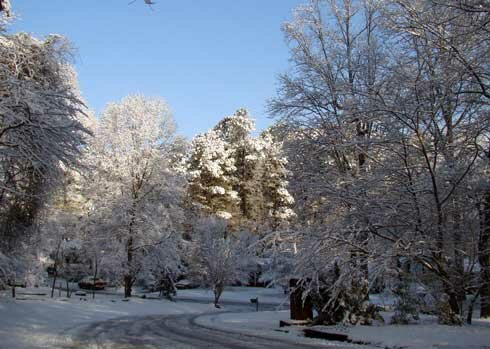 Winter morning in Lawrenceville
