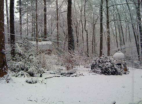 Snow