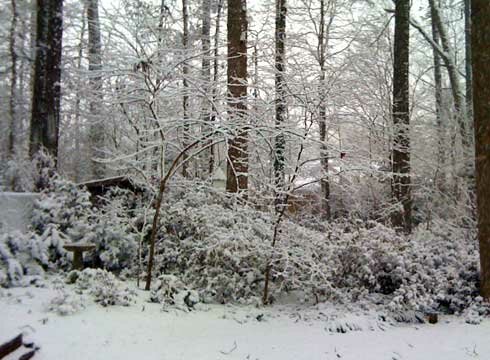 Snow