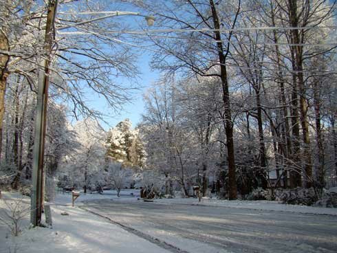 Snow-Feb-13-2010-001