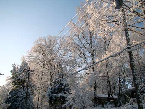 Snow-Feb-13-2010-002