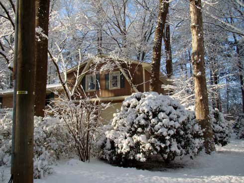 Snow-Feb-13-2010-006