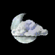 Expected Weather